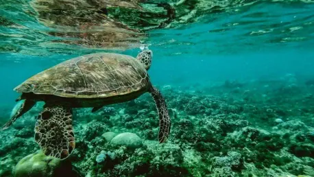 How Does IMO's 2025 Theme Highlight Ocean Protection and Responsibility?