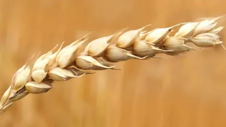 Pacific National Enhances Rail Capacity for Record Grain Harvest
